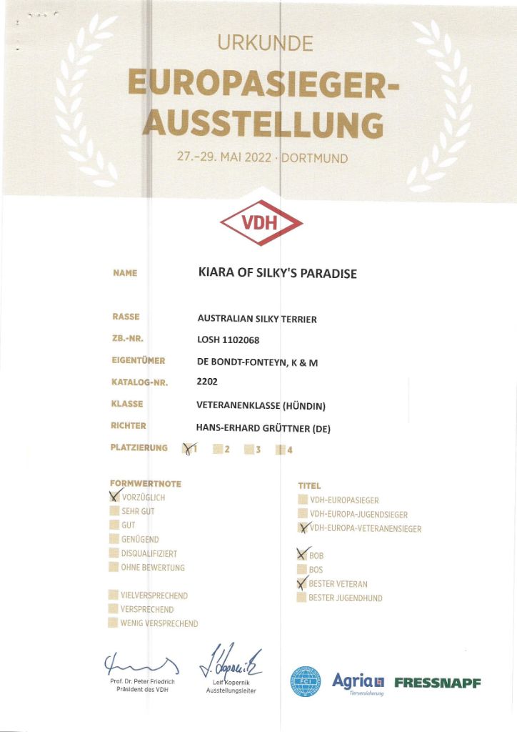 of Silky's Paradise - KIARA: CERTIFICATE EUROPA-VETERANENSIEGER (VDH) D 2022