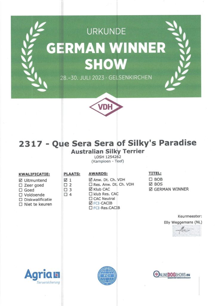 of Silky's Paradise - QUE SERA SERA: CERTIFICATE GERMAN WINNER (VDH) D 2023