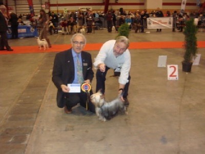 of Silky's Paradise - BRUSSELS DOGSHOW (B) 09.12: BOB