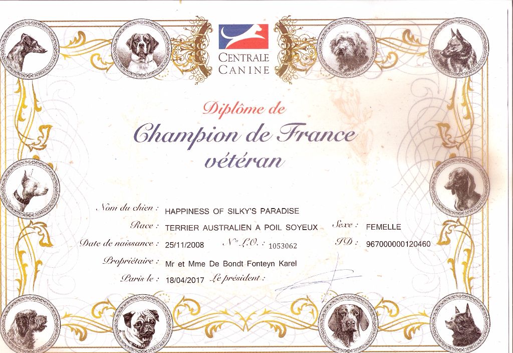 of Silky's Paradise - HAPPINESS: CERTIF VETERAN CHAMPION FR