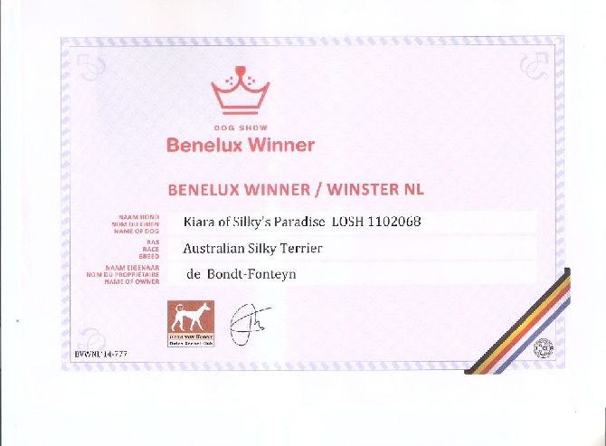 of Silky's Paradise - KIARA: CONF BENELUX WINNER (NL) 2014