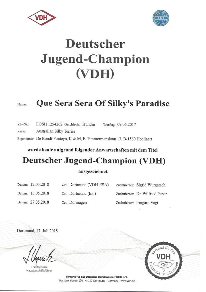 of Silky's Paradise - QUE SERA SERA: CERTIF JUNIOR D (VDH) CHAMPION