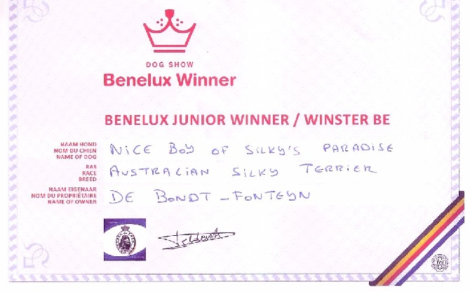 of Silky's Paradise - NICE BOY: CONF BENELUX J WINNER (B) 2015