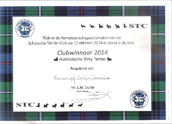 of Silky's Paradise - STC CAC CLUBMATCH (NL) 12.10: CLUBWINNER NL 2014 & BOG3