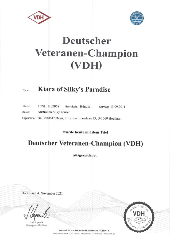 of Silky's Paradise - KIARA CERTIF VETERAN CHAMPION D (VDH)