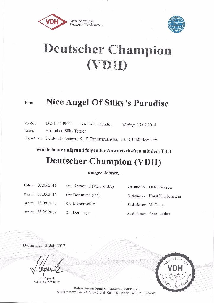 of Silky's Paradise - NICE ANGEL: CERTIF D (VDH) CHAMPION