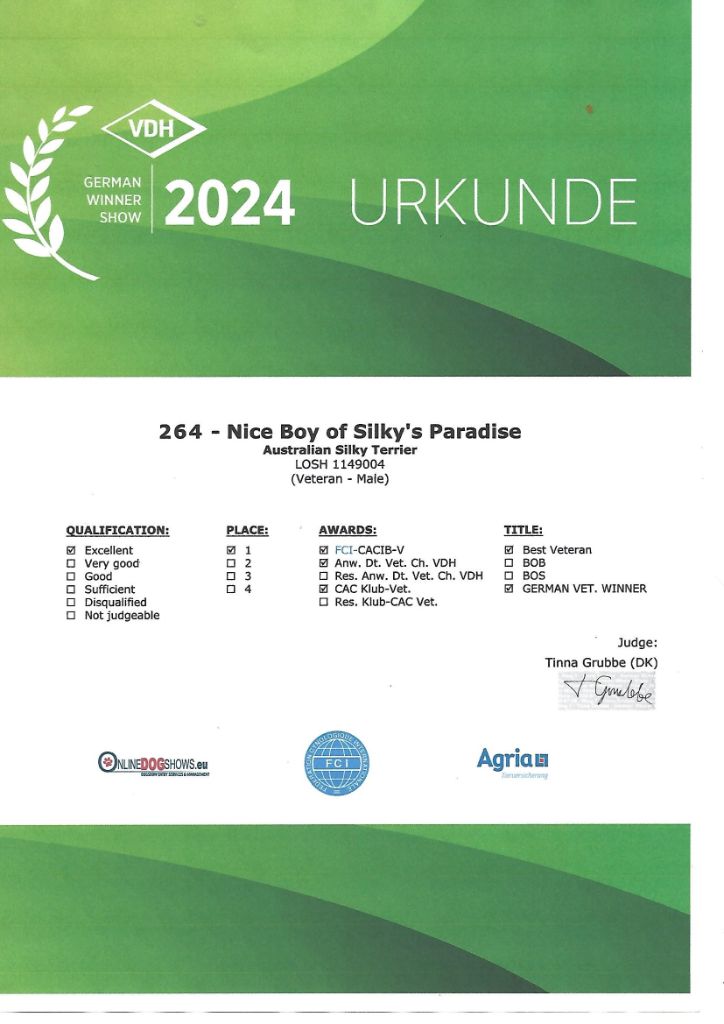 of Silky's Paradise - NICE BOY: CERTIFICATE GERMAN VETERAN WINNER (VDH) D 2024