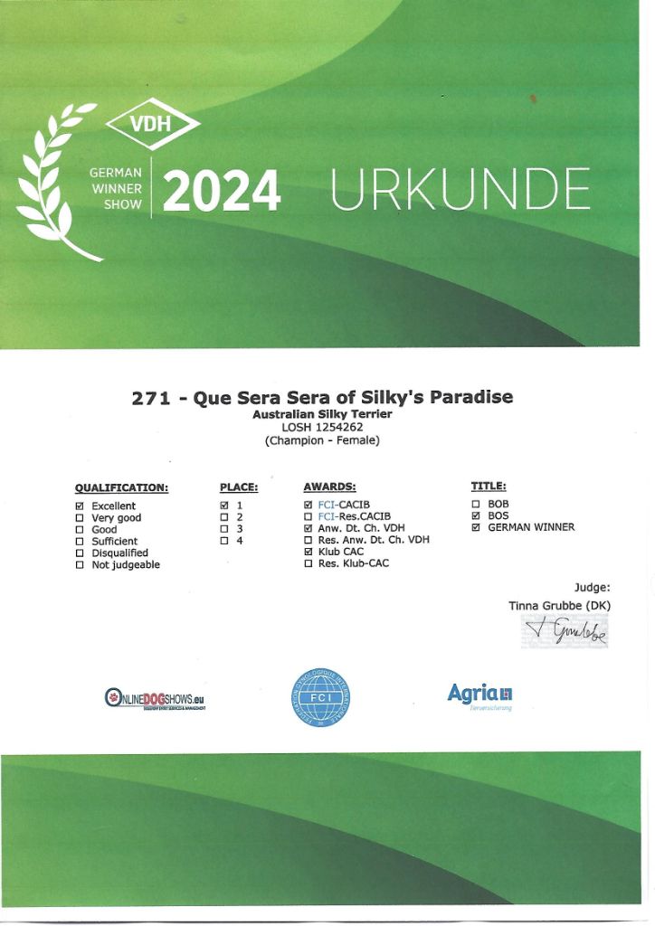 of Silky's Paradise - QUE SERA SERA: CERTIFICATE GERMAN WINNER (VDH) D 2024