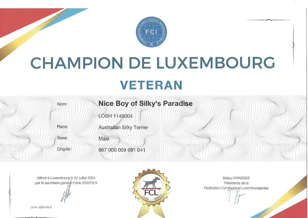 of Silky's Paradise - NICE BOY: DIPLOMA VETERAN CHAMPION LUX